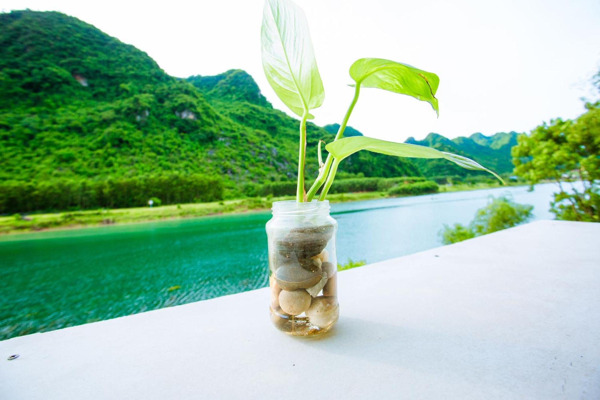 Phong Nha A Little Leaf Homestay 외부 사진