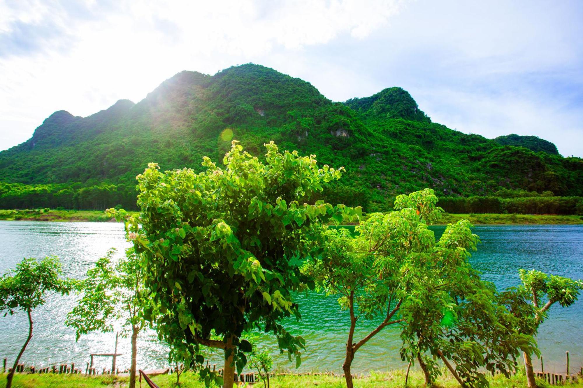 Phong Nha A Little Leaf Homestay 외부 사진
