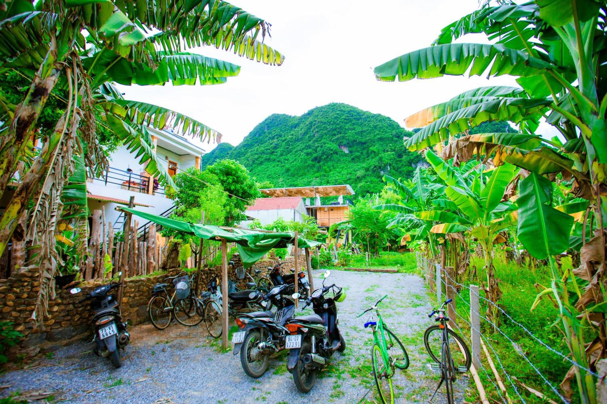 Phong Nha A Little Leaf Homestay 외부 사진